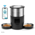 MiaouRythme, solution pour repas réguliers de chat