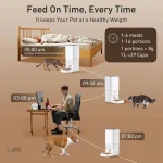 Modèle Routine Douce pour chats avec alimentation automatique