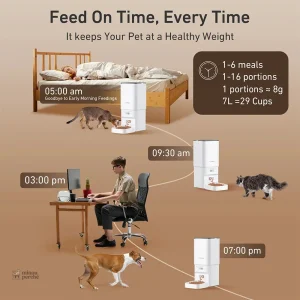 Modèle Routine Douce pour chats avec alimentation automatique