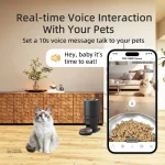 Miaou Vision Pro : système de distribution pour chat intelligent