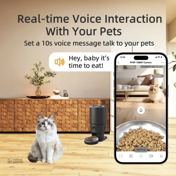 Miaou Vision Pro : système de distribution pour chat intelligent