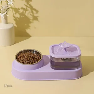 Source Paisible pour l'alimentation des chats