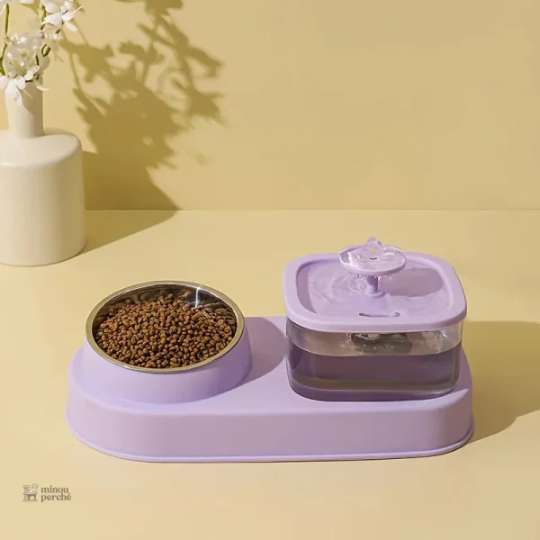 Source Paisible pour l'alimentation des chats