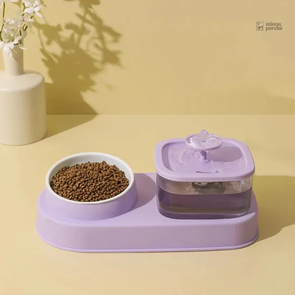 Accessoire pour chats : distributeur d'eau et croquettes