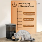Croq’Rituel : distributeur programmable pour chats