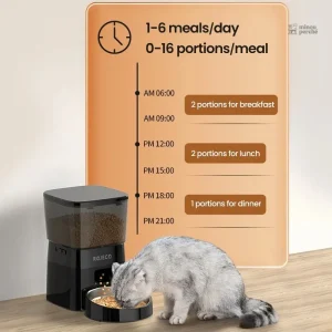 Croq’Rituel : distributeur programmable pour chats