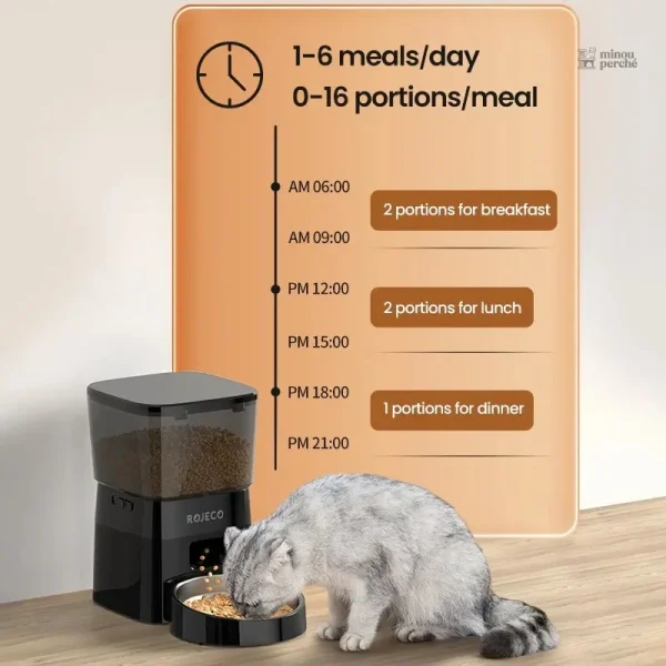 Croq’Rituel : distributeur programmable pour chats
