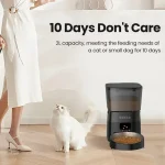 Croquettes pour chat : repas à heures fixes