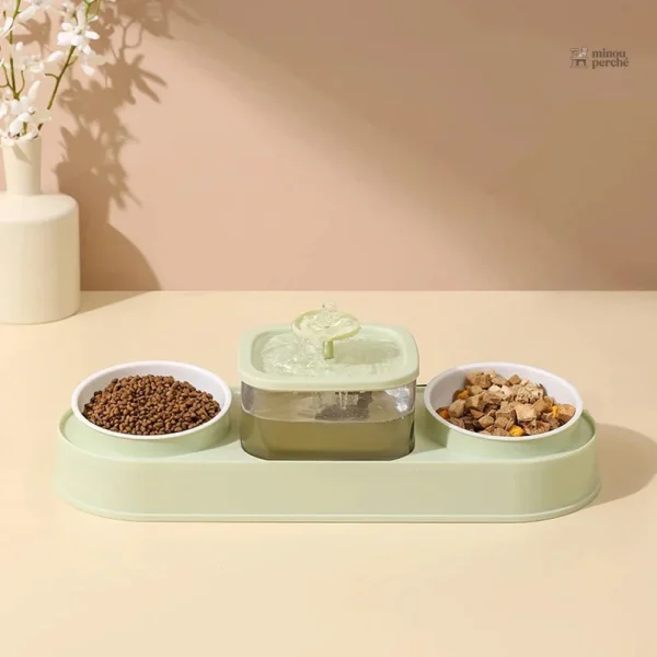 Fontaine à eau pour chats avec design harmonieux