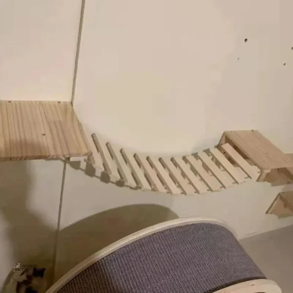 Echelle pour chat, design adapté aux félins