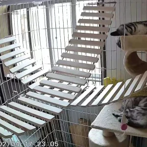 Pont suspendu, espace de jeu en hauteur pour chats