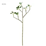 Branche feuillue pour créer un arbre à chat unique