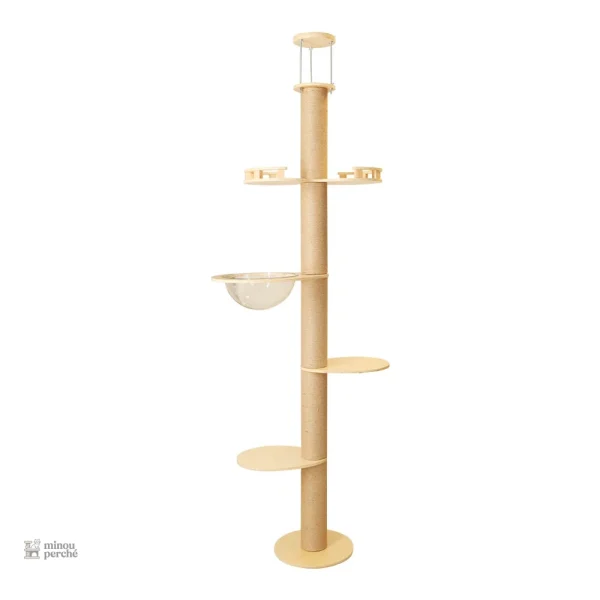 Solution d'escalade idéale pour chats de grande taille
