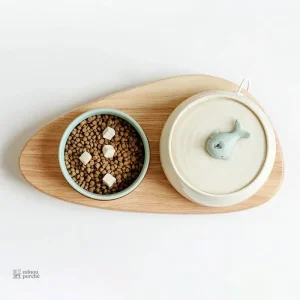AquaMiaou : design moderne et fonctionnel pour chats