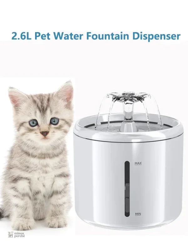 AquaMiaou : solution design pour l'hydratation féline