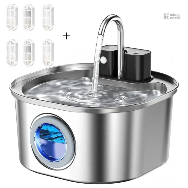 Accessoire pratique pour l'hydratation des chats