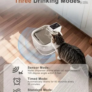 Modèle WirelessSense pour un approvisionnement constant en eau