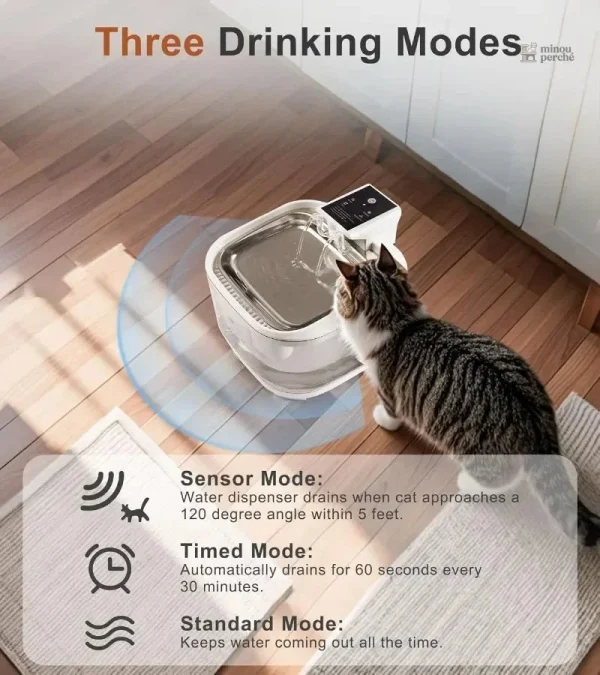 Modèle WirelessSense pour un approvisionnement constant en eau