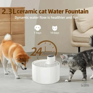 Distributeur d'eau sans fil pour animaux domestiques