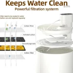 Accessoire pour hydratation optimale des chats