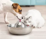 Fontaine à eau pour chat en inox, capacité de 2 litres