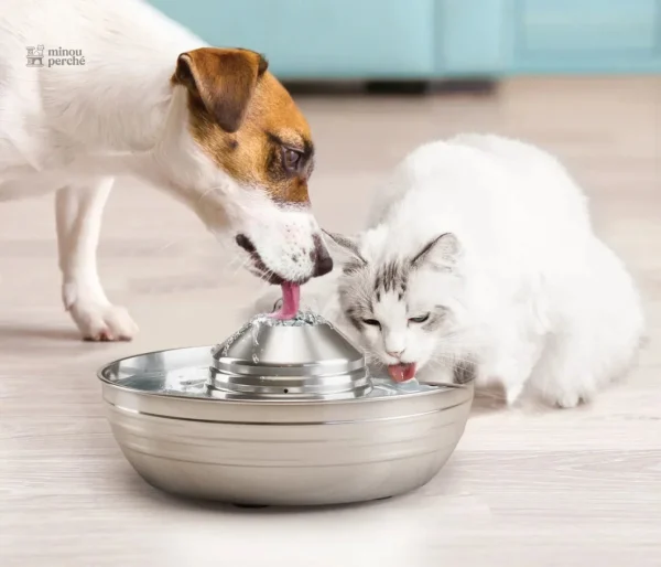 Fontaine à eau pour chat en inox, capacité de 2 litres