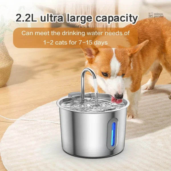 Fontaine à eau en acier inoxydable pour animaux de compagnie
