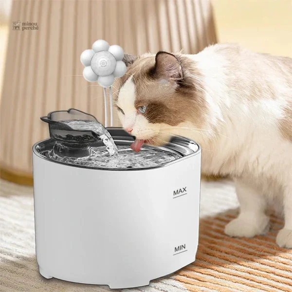 Fontaine silencieuse pour hydratation continue des chats