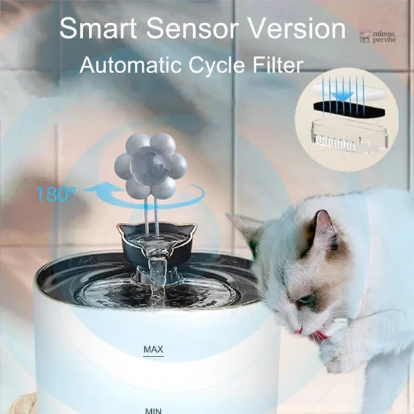 Distributeur d'eau pour chats avec filtre intégré