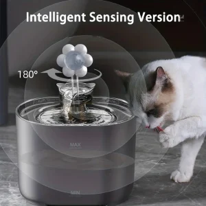 Fontaine à eau pour chat avec circulation fluide