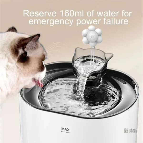 Fontaine pour chat avec système de circulation d'eau