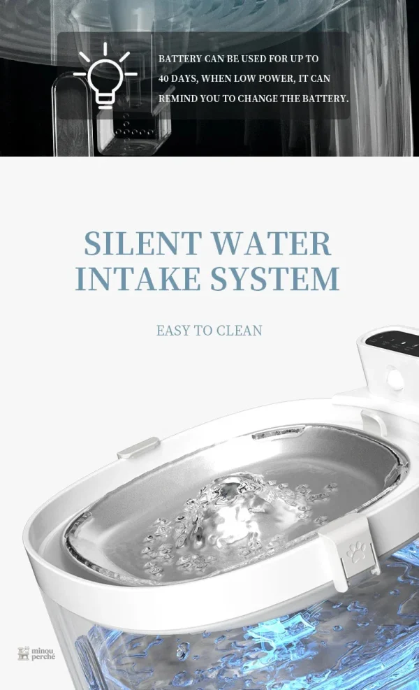 Hydratation optimale pour un bien-être félin
