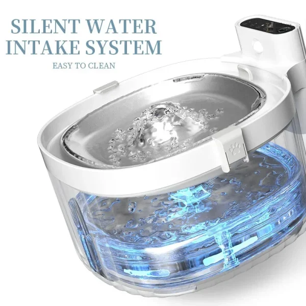 Fontaine sans fil pour hydratation féline optimale
