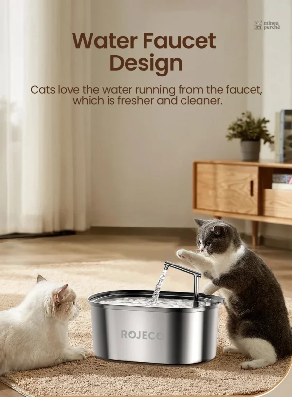 Bec verseur ergonomique pour chats