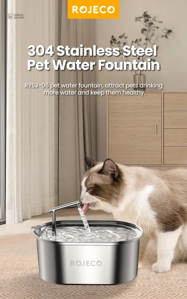 Hydratation continue pour votre chat