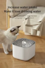 Distributeur d'eau pour chats, style moderne