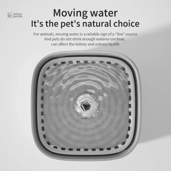 Système de circulation d'eau douce pour félins