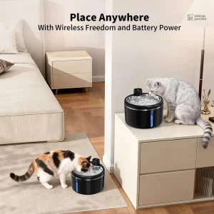 Distributeur d'eau pour chat avec capteur intelligent