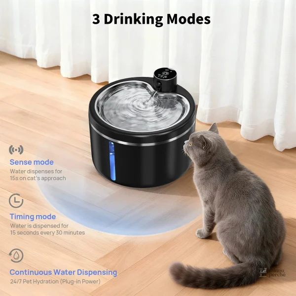 Fontaine pour animaux en acier inoxydable, design moderne
