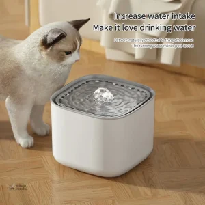 Distributeur d'eau pour chats avec filtration intégrée