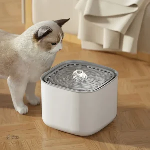 Distributeur d'eau pour chat, 3 litres de capacité