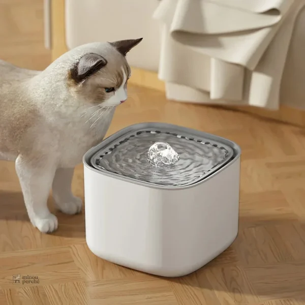 Distributeur d'eau pour chat, 3 litres de capacité