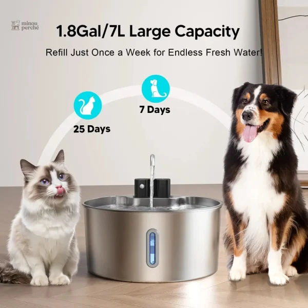 Fontaine pour animaux en acier inoxydable rechargeable