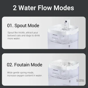 Distributeur d'eau pour chat avec système de filtration