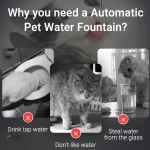 Fontaine d'eau pour chat, encourage l'hydratation