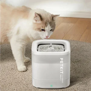 Fontaine à eau pour chat ClairRuisseau