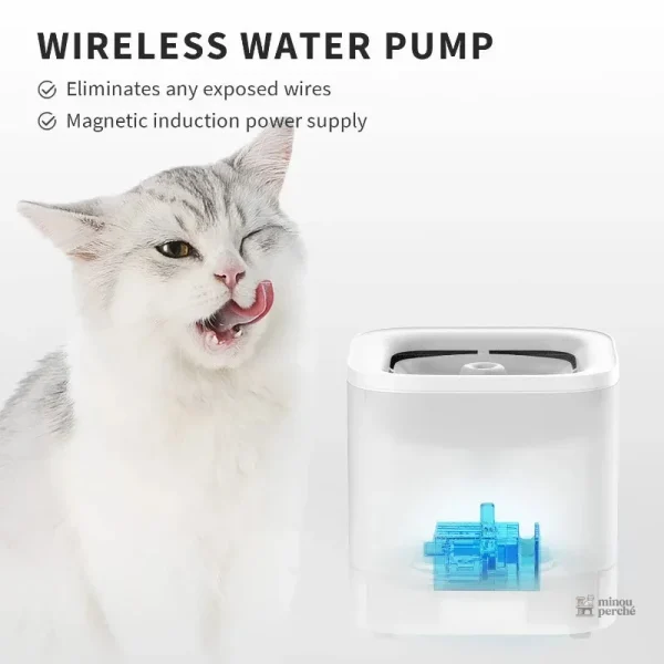Fontaine à eau pour chats avec filtration continue