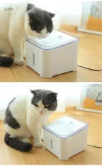 Équipement pour chats, fontaine à eau lumineuse