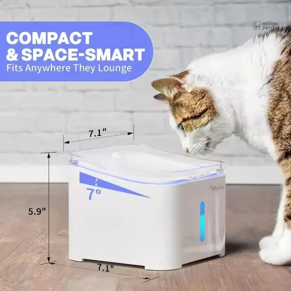 Accessoire pour chat, fontaine à eau moderne LED