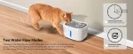 Hydratation optimale pour chats grâce à la technologie